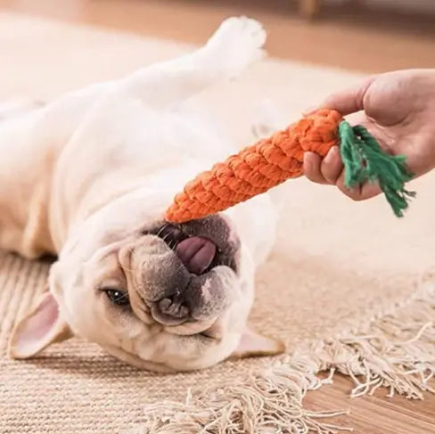 Cotton Rope Dog Chew Toys Combo Pack for Puppies and Small Dogs Multicolor (Pack of 5)
