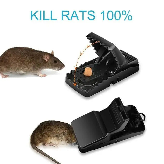 Krifton Reusable Mouse Catcher Trap Cage for Human Indoor and Outdoor Pest Control, Live Catch and Release in Home, Kitchen, Room, and Office – Safe, Non-Toxic (1 Pcs)